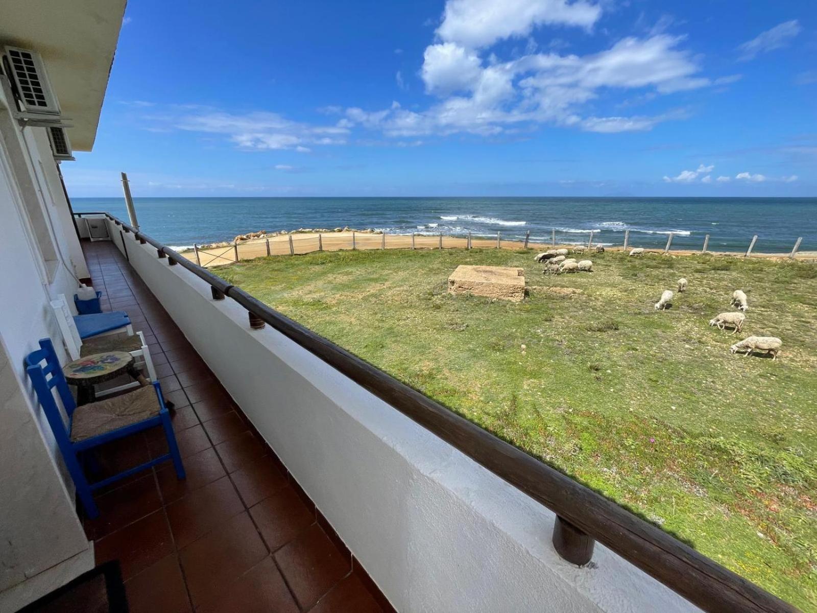 Casa Al Mare Con Splendida Vista Sul Mare Villa เปโตรสิโน ภายนอก รูปภาพ